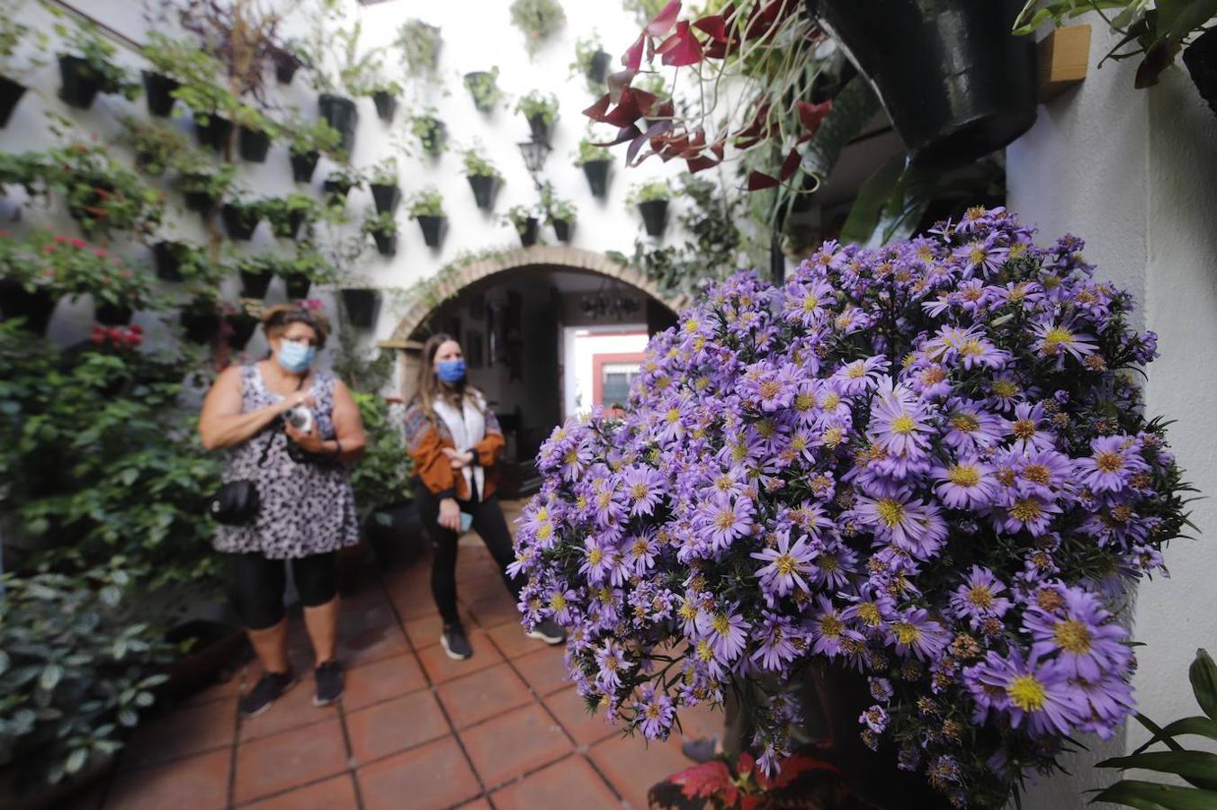 Patios Córdoba 2020 | El festival de otoño arranca con estética, las primeras colas y mucha seguridad