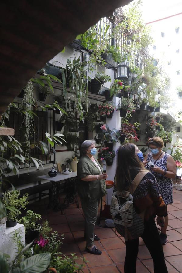 Patios de Córdoba 2020 | La ruta del barrio de San Basilio, en imágenes