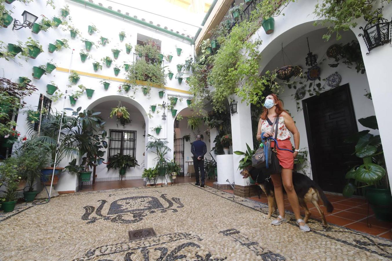 Patios de Córdoba 2020 | La ruta del barrio de San Basilio, en imágenes