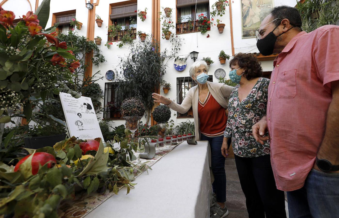 Patios Córdoba 2020 | La labor de los controladores y propietarios, en imágenes