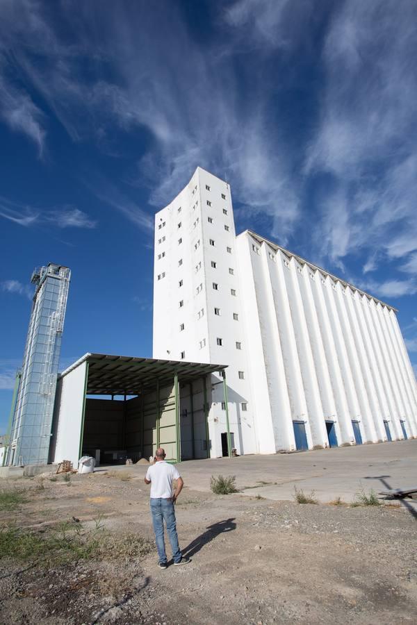 Reconversión del silo de Las Cabezas de San Juan, en imágenes