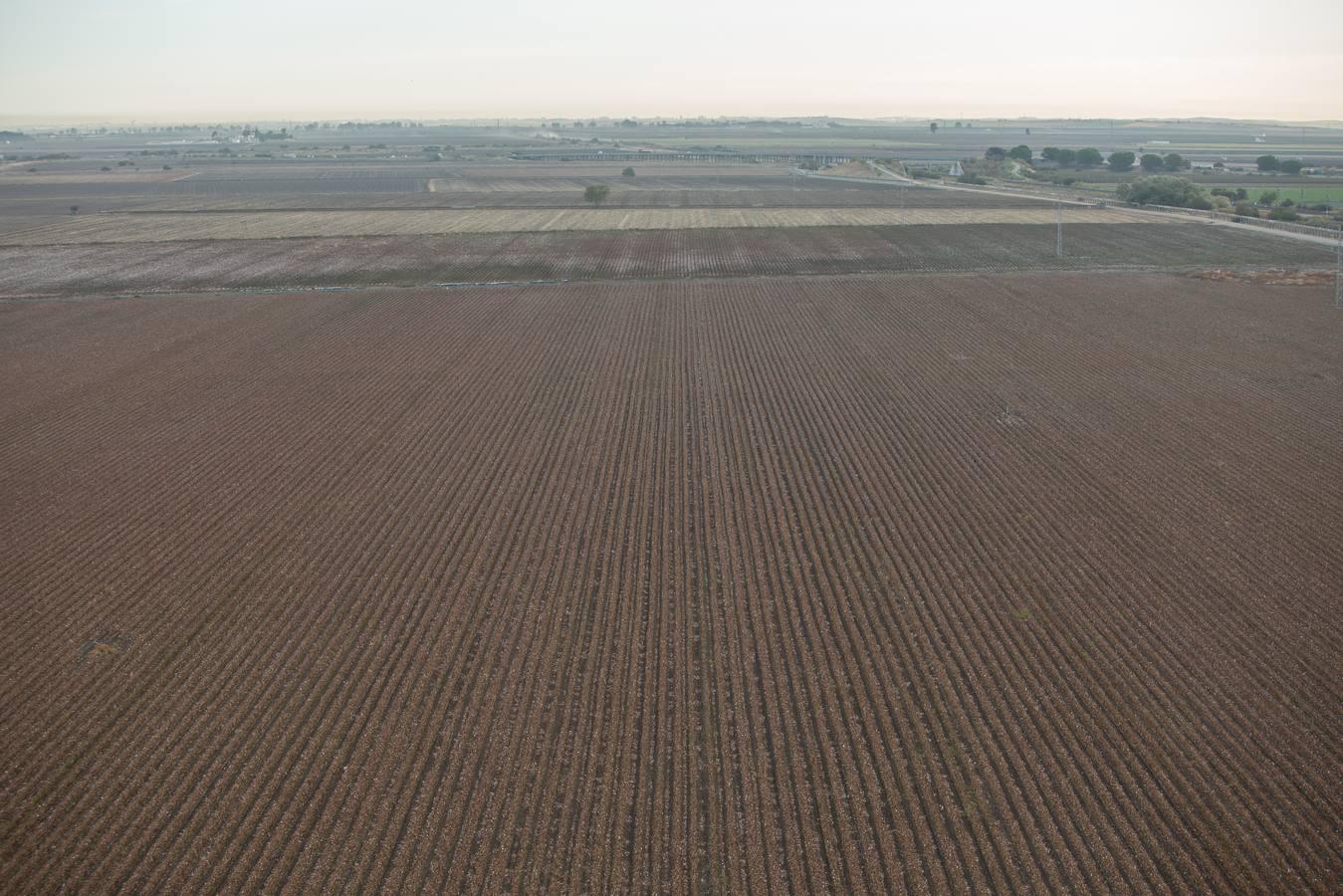 Reconversión del silo de Las Cabezas de San Juan, en imágenes