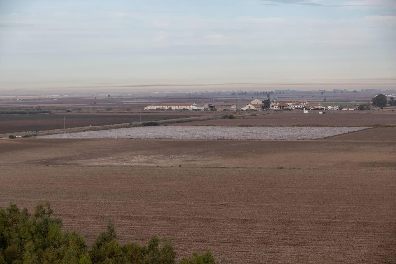 Reconversión del silo de Las Cabezas de San Juan, en imágenes