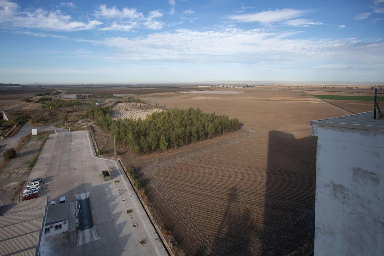 Reconversión del silo de Las Cabezas de San Juan, en imágenes