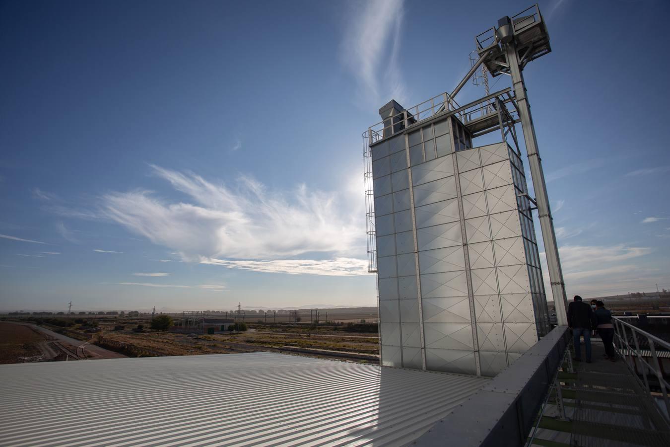 Reconversión del silo de Las Cabezas de San Juan, en imágenes