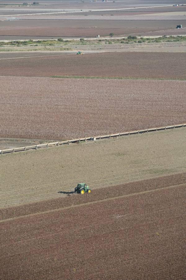 Reconversión del silo de Las Cabezas de San Juan, en imágenes