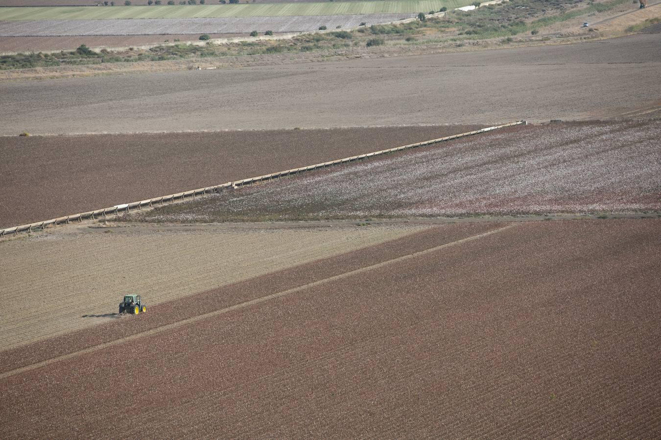 Reconversión del silo de Las Cabezas de San Juan, en imágenes