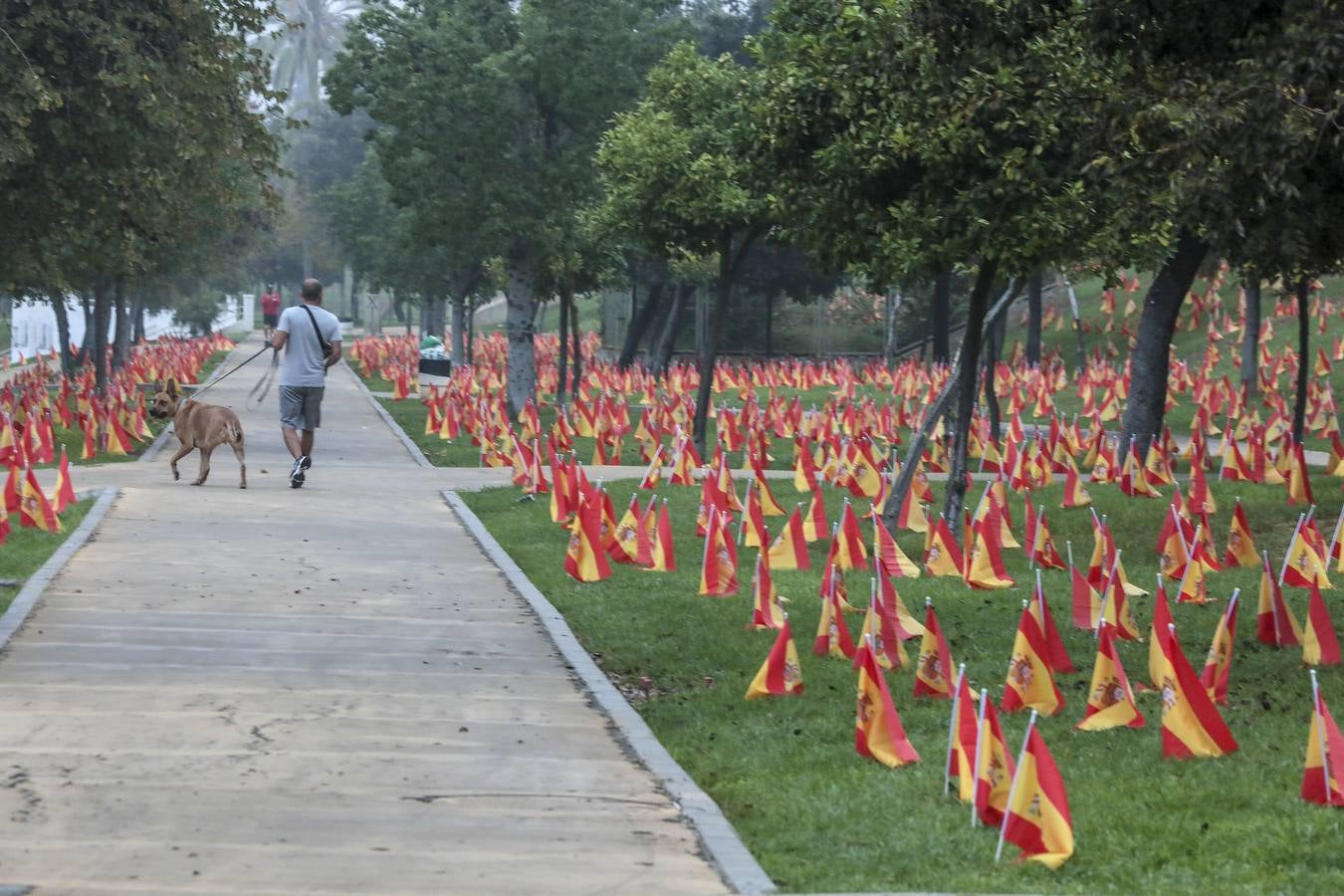 En imágenes, 53.000 banderas de España en Sevilla para homenajear a las víctimas del coronavirus