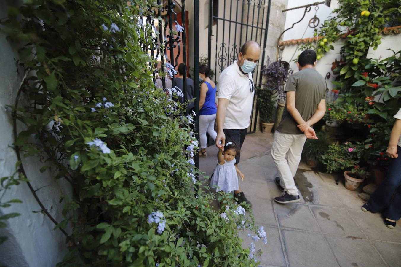 Los patios de San Pedro y Santiago de Córdoba, en imágenes