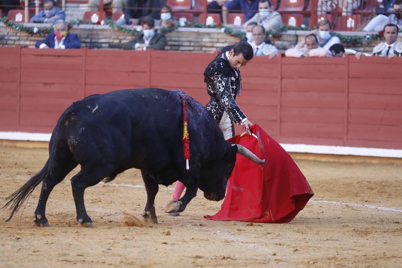 La vuelta de los toros a Córdoba, en imágenes