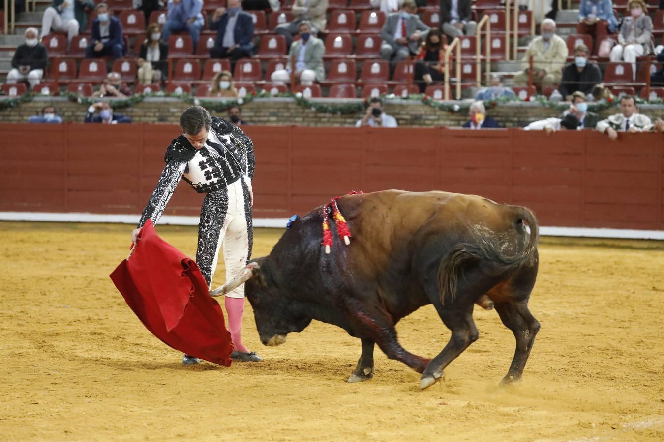 La vuelta de los toros a Córdoba, en imágenes