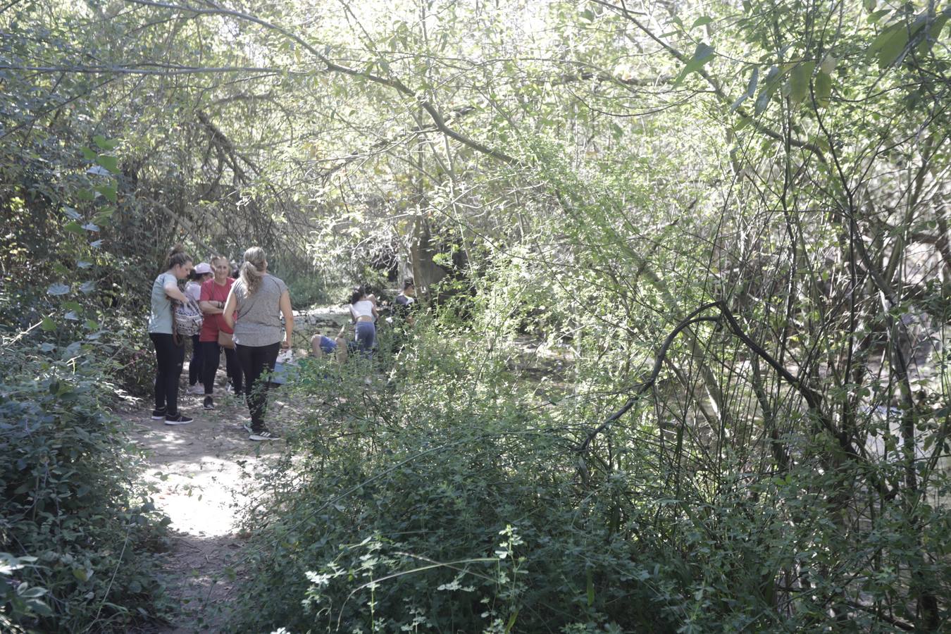 Gran afluencia de turistas en la Sierra de Cádiz en el puente del Pilar