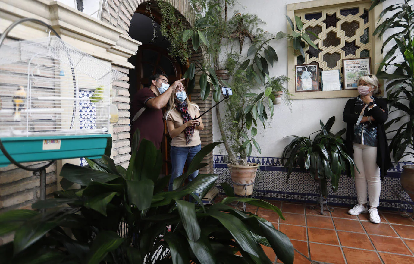 Los Patios de la Judería y San Francisco de Córdoba, en imágenes