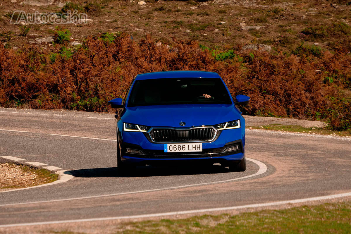 Fotogalería: Skoda Octavia 1.5 TSi 2020