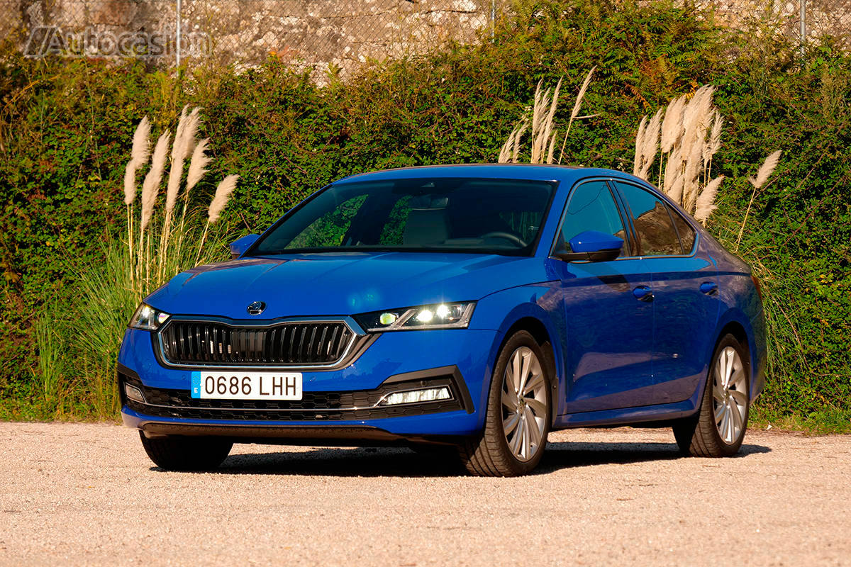 Fotogalería: Skoda Octavia 1.5 TSi 2020