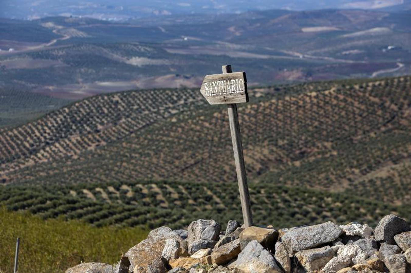 El yacimiento arqueológico de Torreparedones de Baena, en imágenes