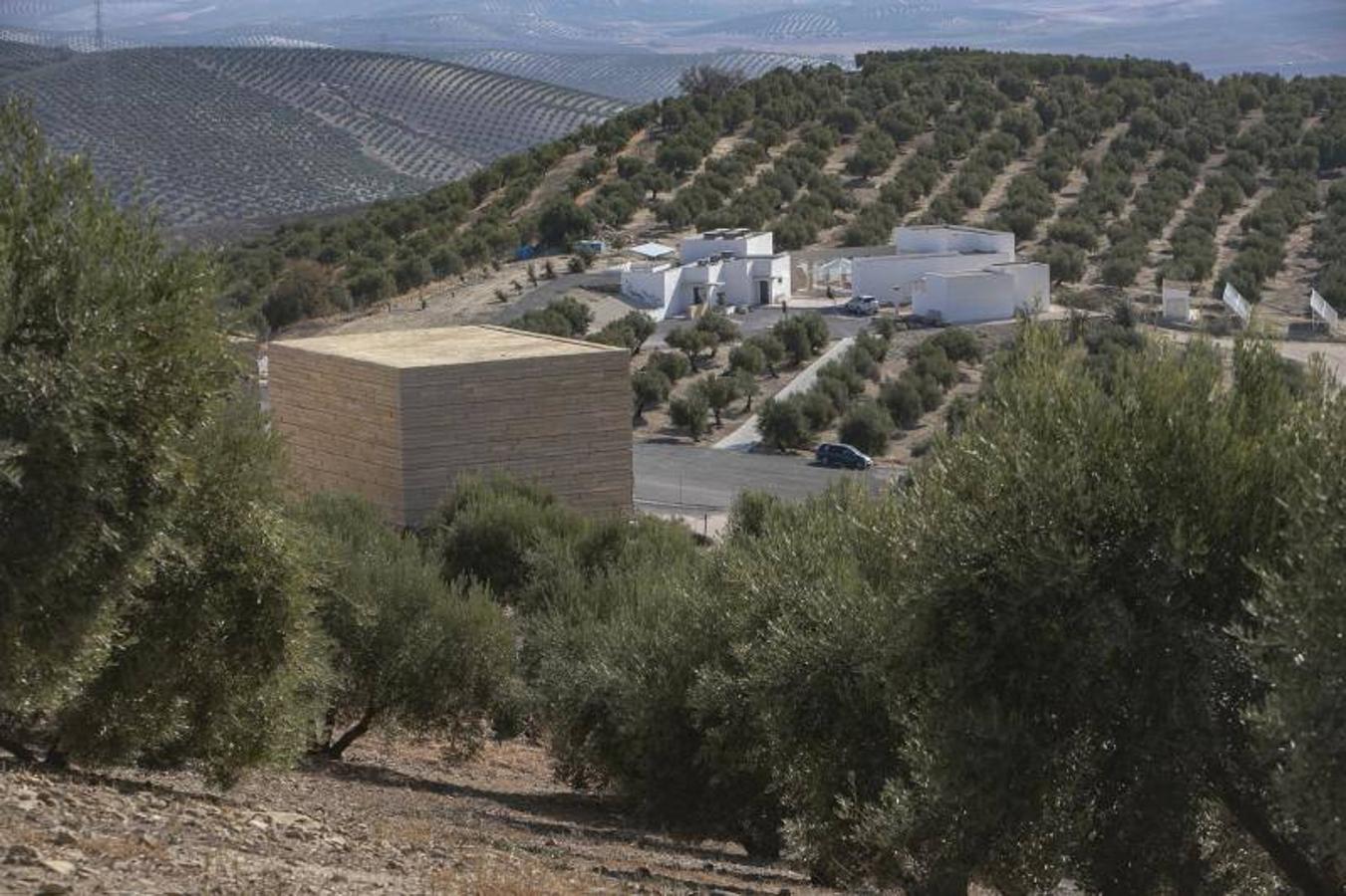 El yacimiento arqueológico de Torreparedones de Baena, en imágenes