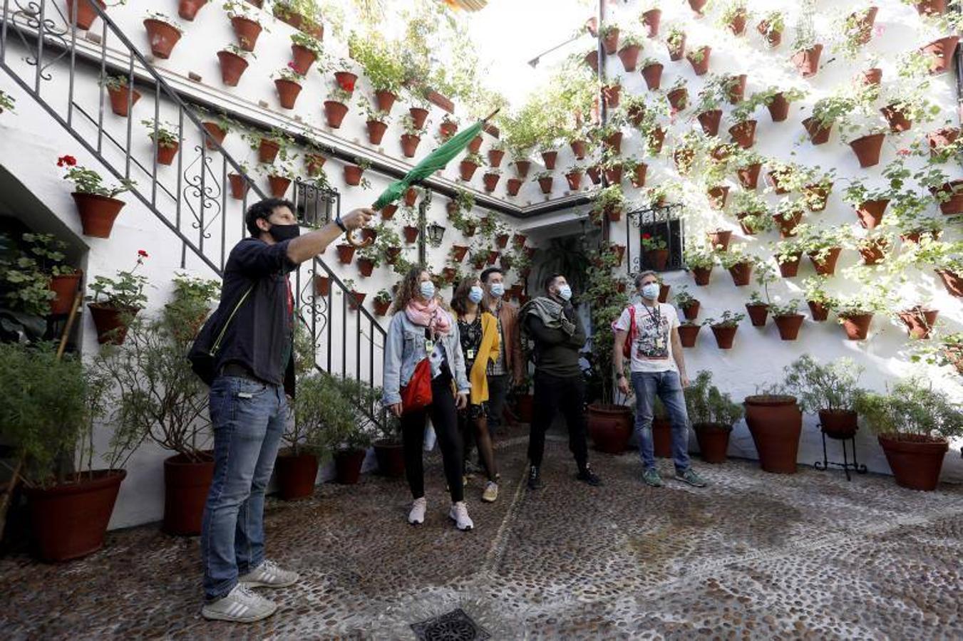 Los patios de San Basilio de Córdoba, en imágenes