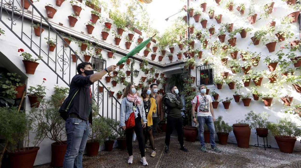 Los patios de San Basilio de Córdoba, en imágenes