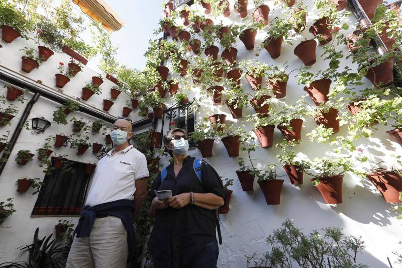 Los patios de San Basilio de Córdoba, en imágenes