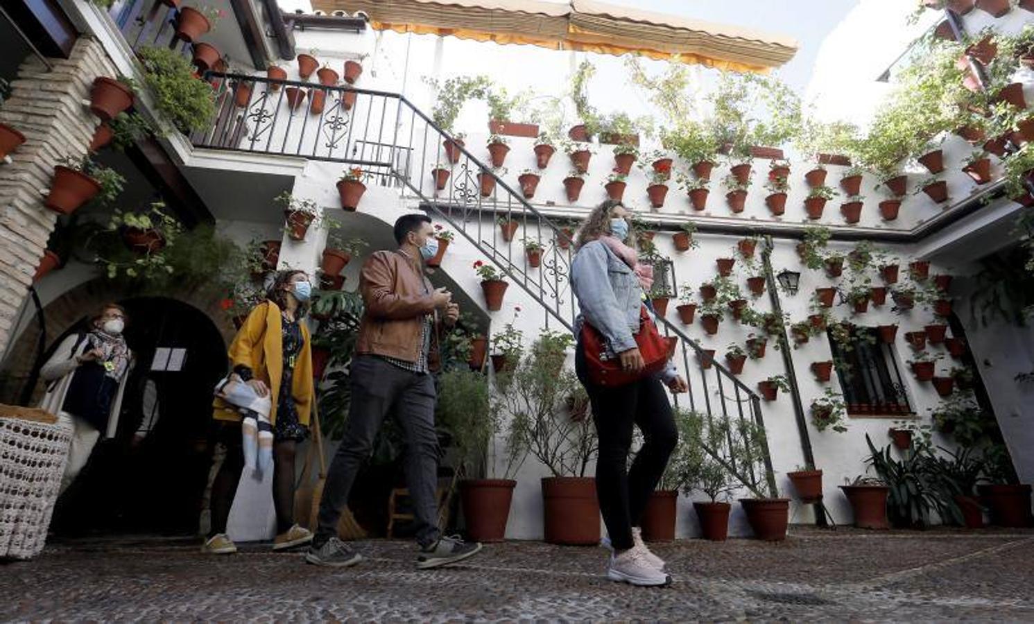 Los patios de San Basilio de Córdoba, en imágenes