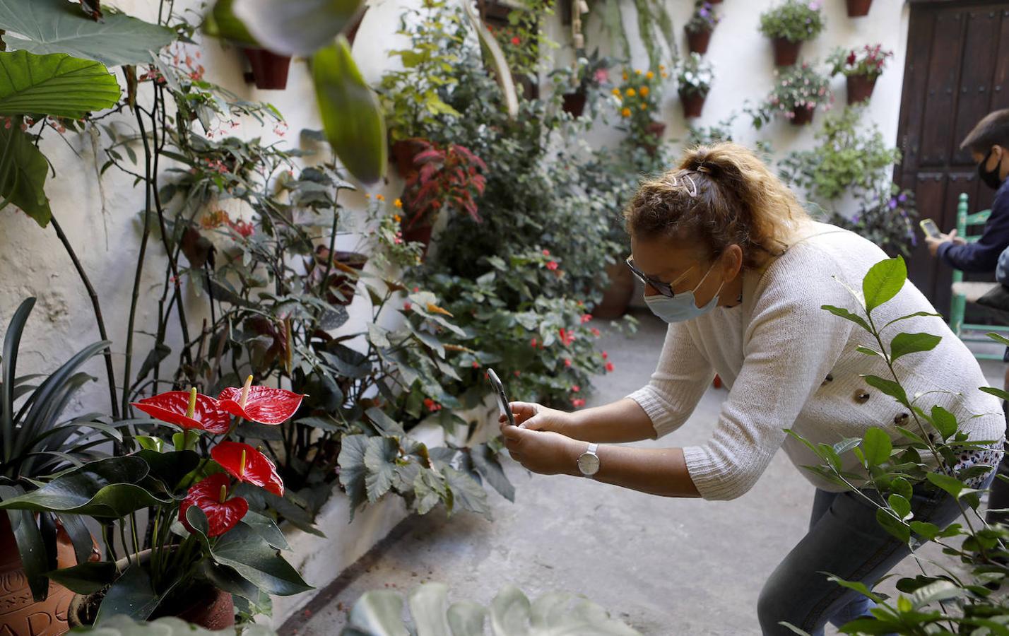 Patios de Córdoba 2020 | Los visitantes del último sábado, en imágenes