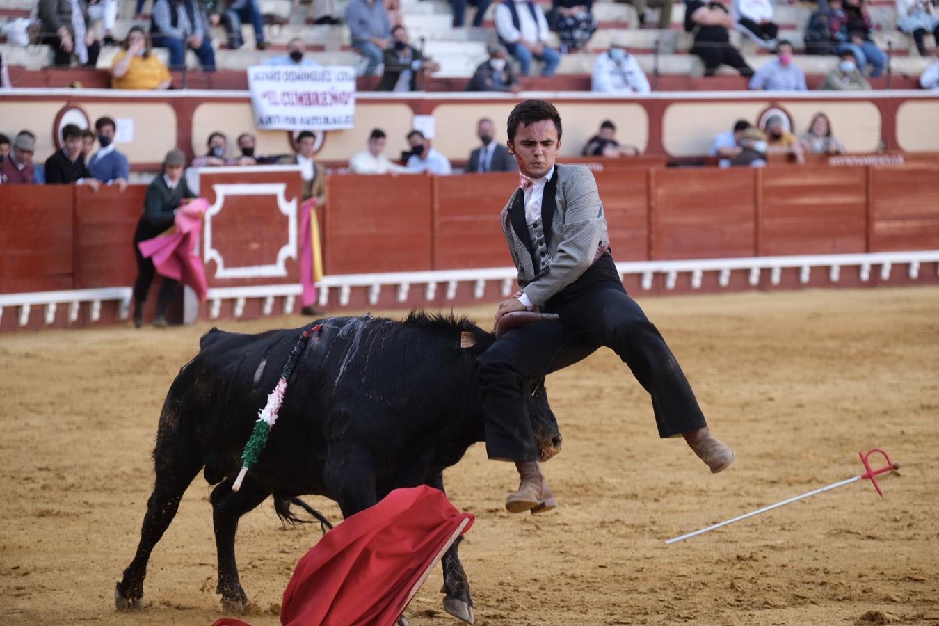 FOTOS | II Certamen de Becerristas en El Puerto