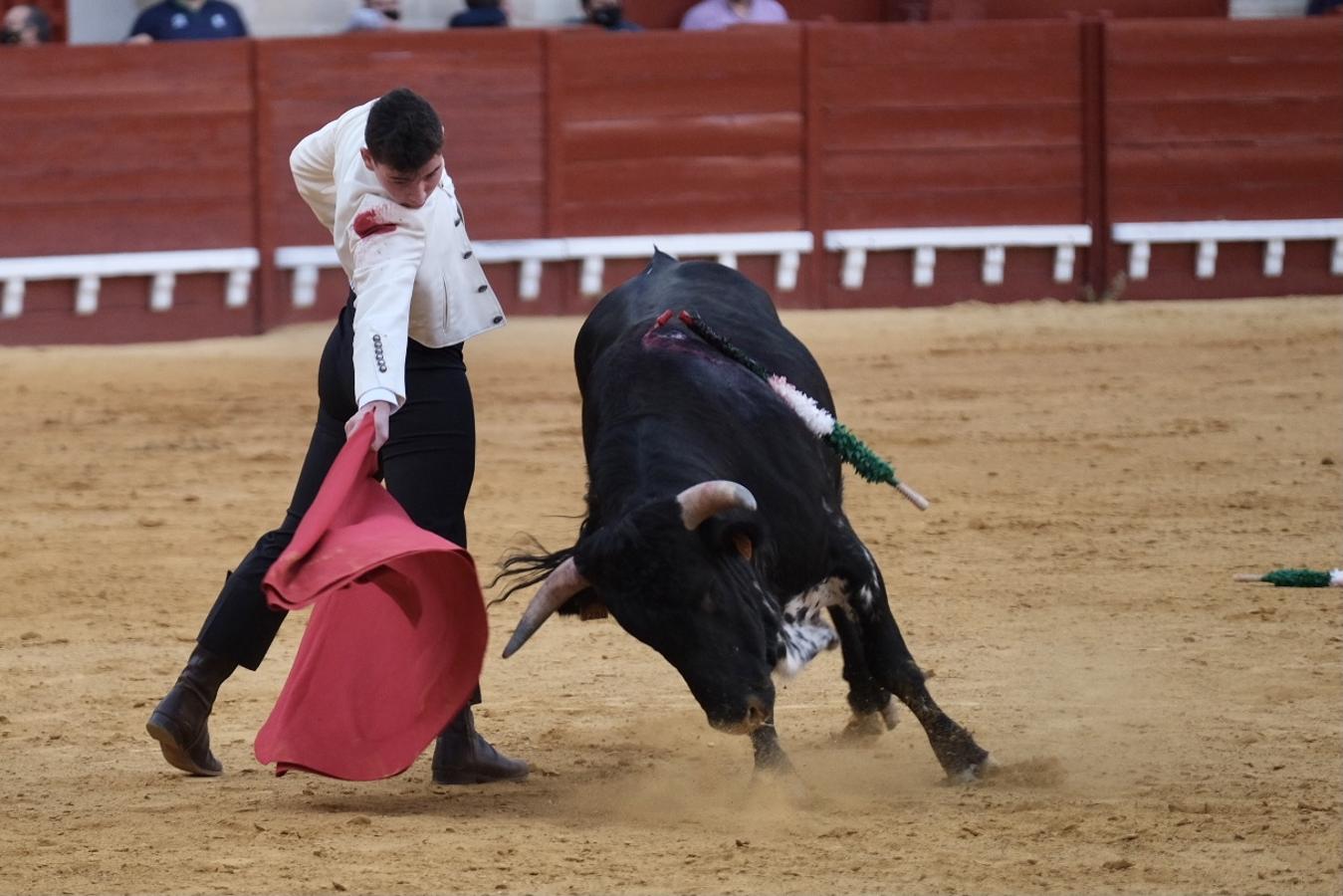 FOTOS | II Certamen de Becerristas en El Puerto