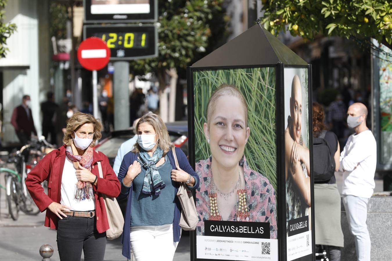 El día contra el cáncer de mama en Córdoba, en imágenes