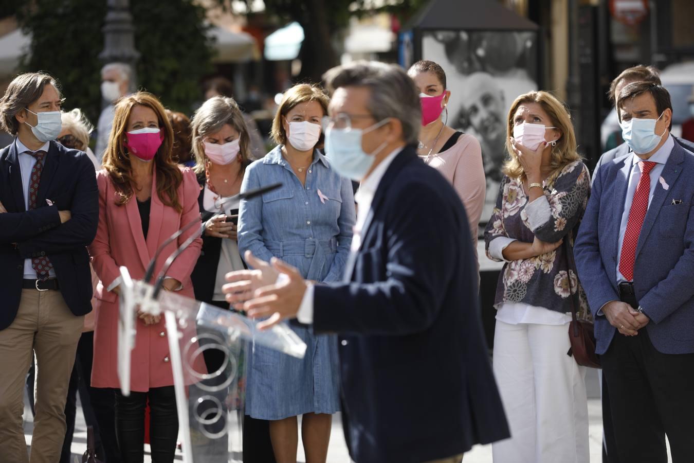 El día contra el cáncer de mama en Córdoba, en imágenes