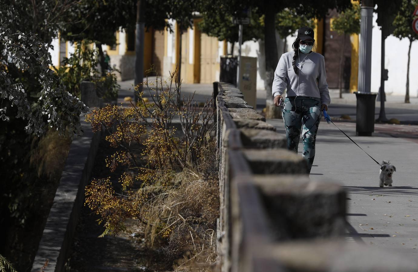 Las huellas del otoño en Córdoba, en imágenes