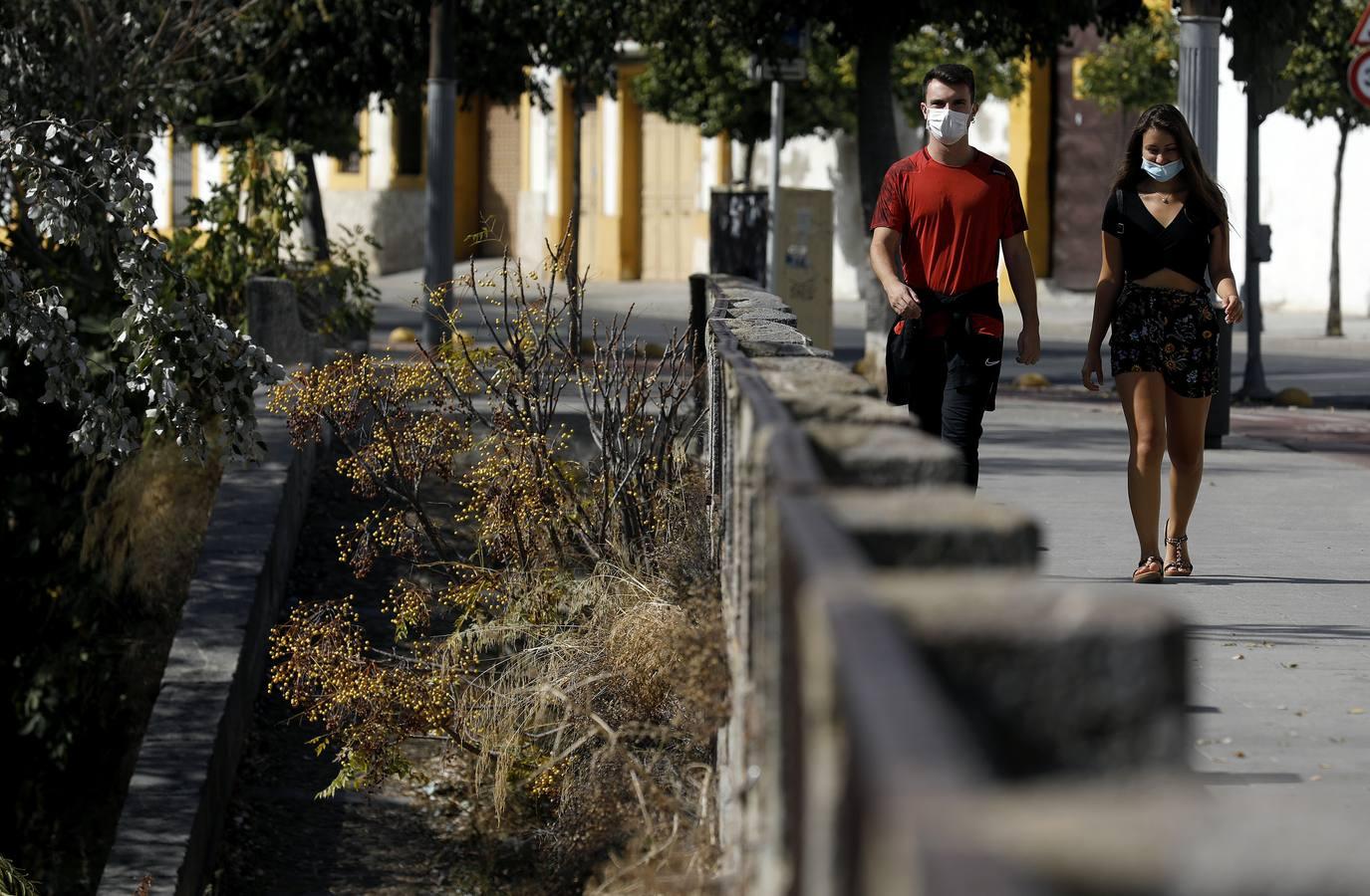 Las huellas del otoño en Córdoba, en imágenes