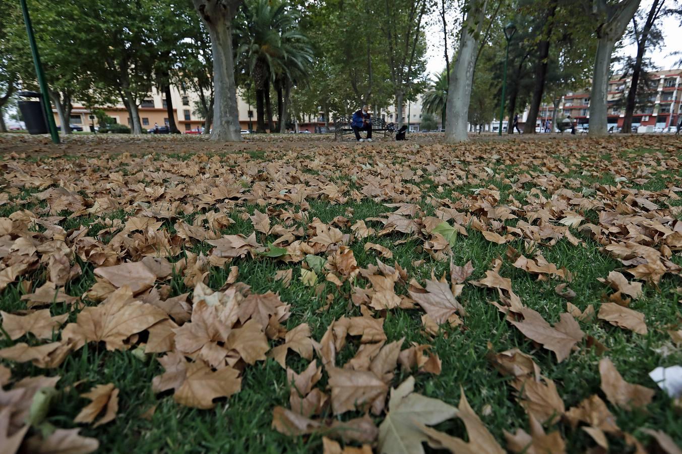 Las huellas del otoño en Córdoba, en imágenes