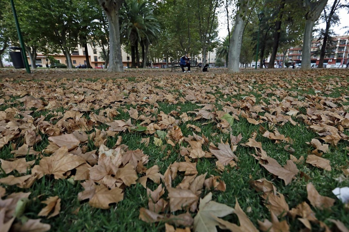 Las huellas del otoño en Córdoba, en imágenes