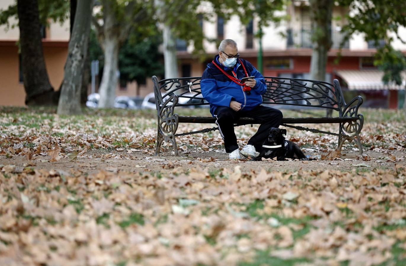 Las huellas del otoño en Córdoba, en imágenes