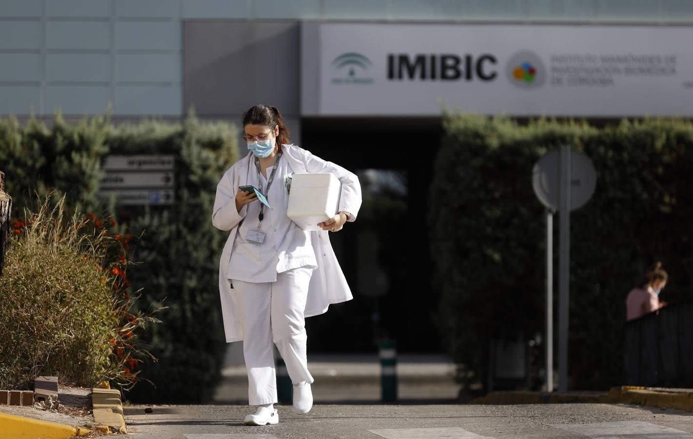 Las colas en el Hospital Reina Sofía y en los ambulatorios de Córdoba, en imágenes