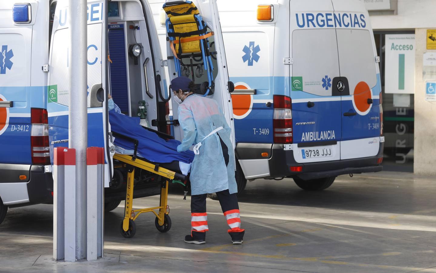 Las colas en el Hospital Reina Sofía y en los ambulatorios de Córdoba, en imágenes