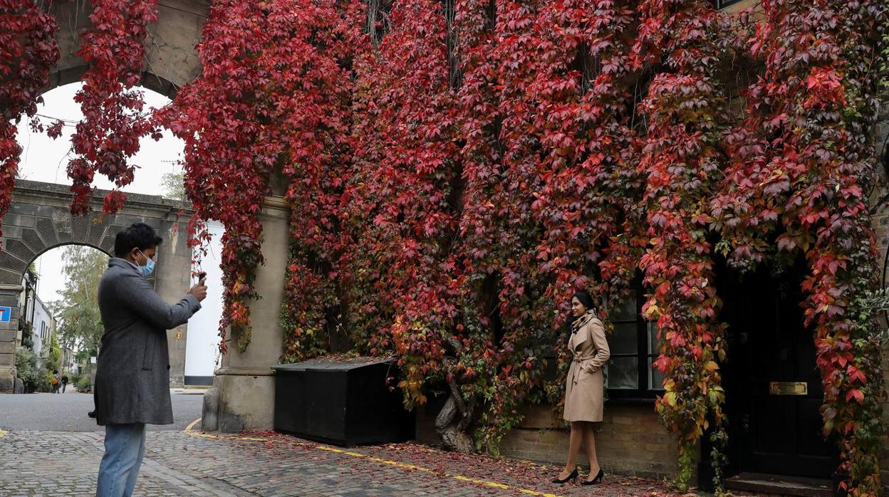 Las mejores imágenes del otoño en el mundo