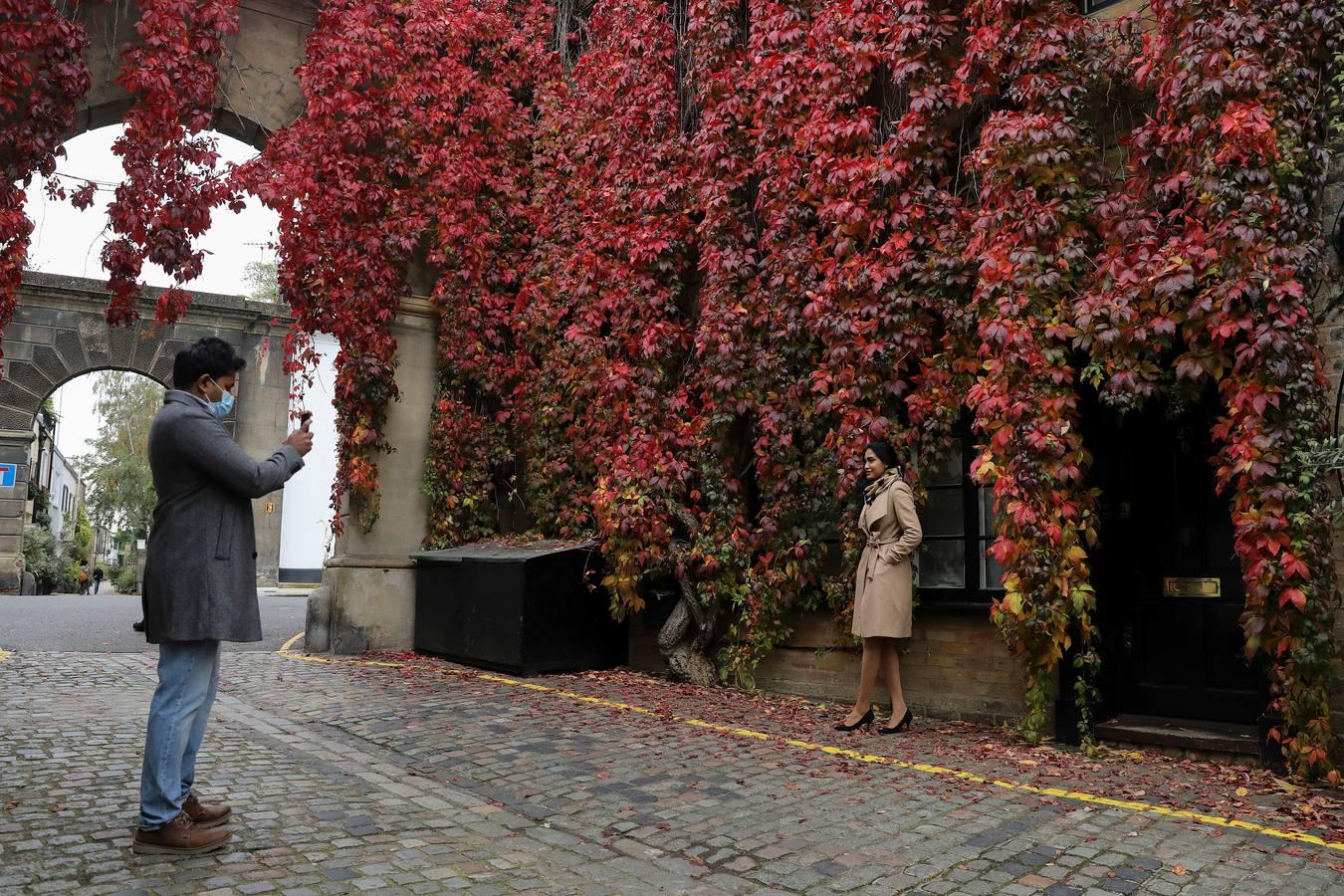 maduro imagina Abstracción Las mejores imágenes del otoño en el mundo