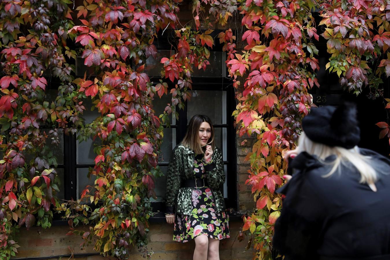 Otoño en las calles de Londres