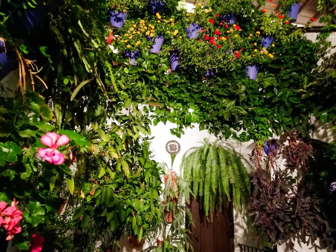 Los Patios de Córdoba 2020, desde el objetivos de los lectores de ABC