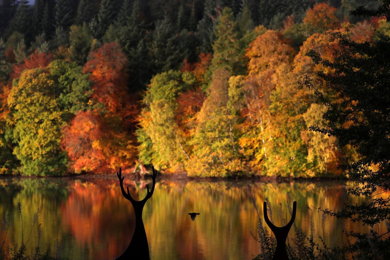 maduro imagina Abstracción Las mejores imágenes del otoño en el mundo