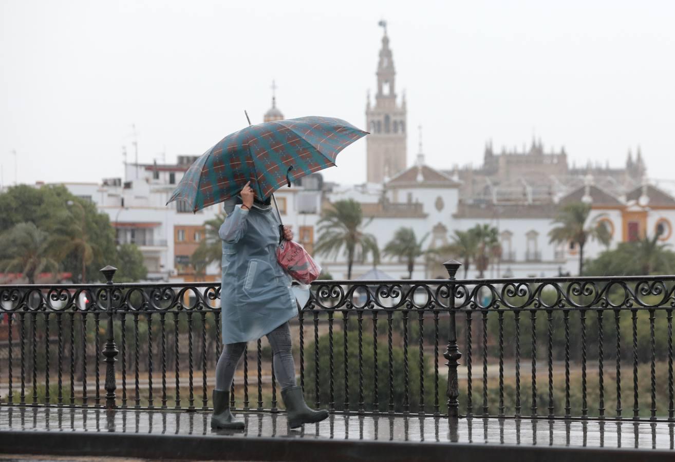 La borrasca Bárbara deja su huella en Sevilla