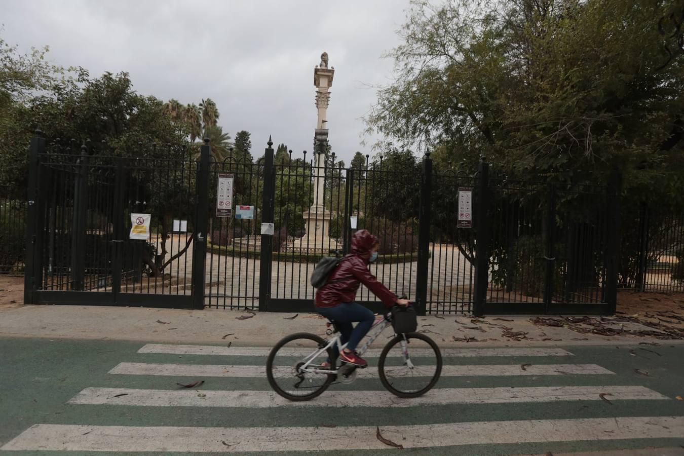 Borrasca Bárbara: Emergencias 112 atiende casi 70 incidencias por el viento y la lluvia en Sevilla