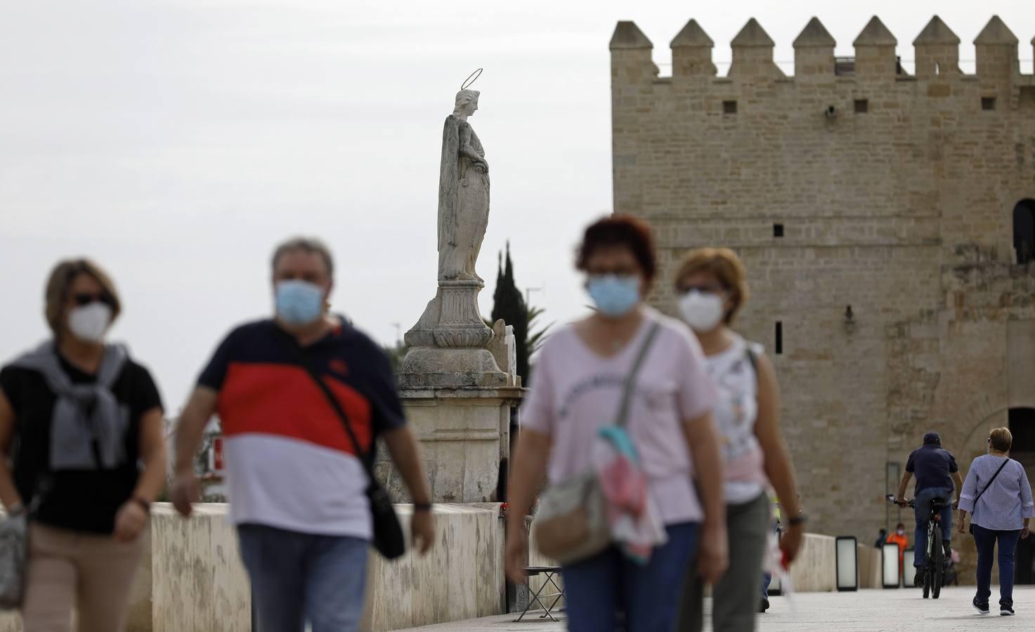 Los triunfos de San Rafael de Córdoba, en imágenes