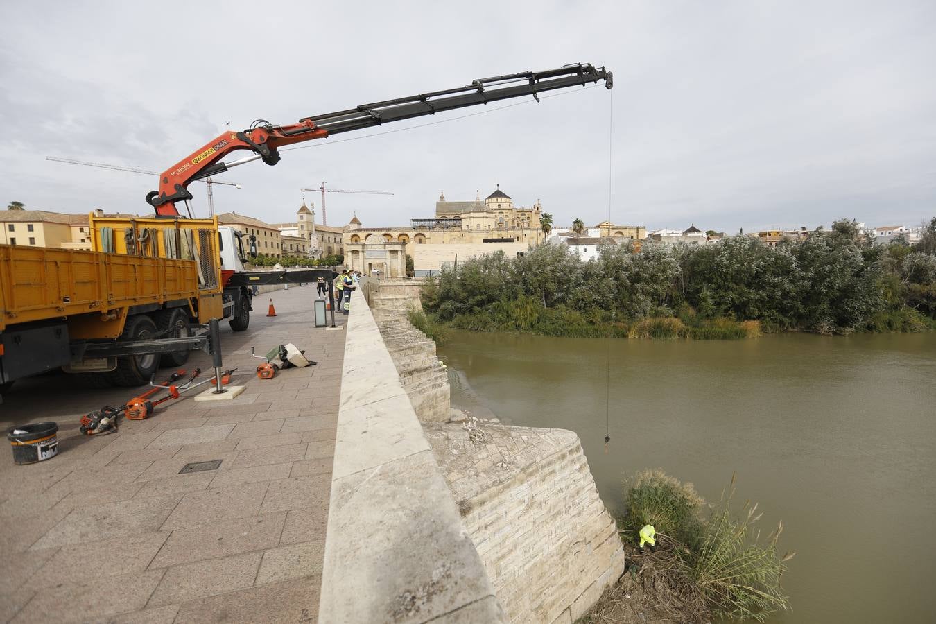 Operarios limpian de maleza y troncos el río Guadalquivir en Córdoba, en imágenes