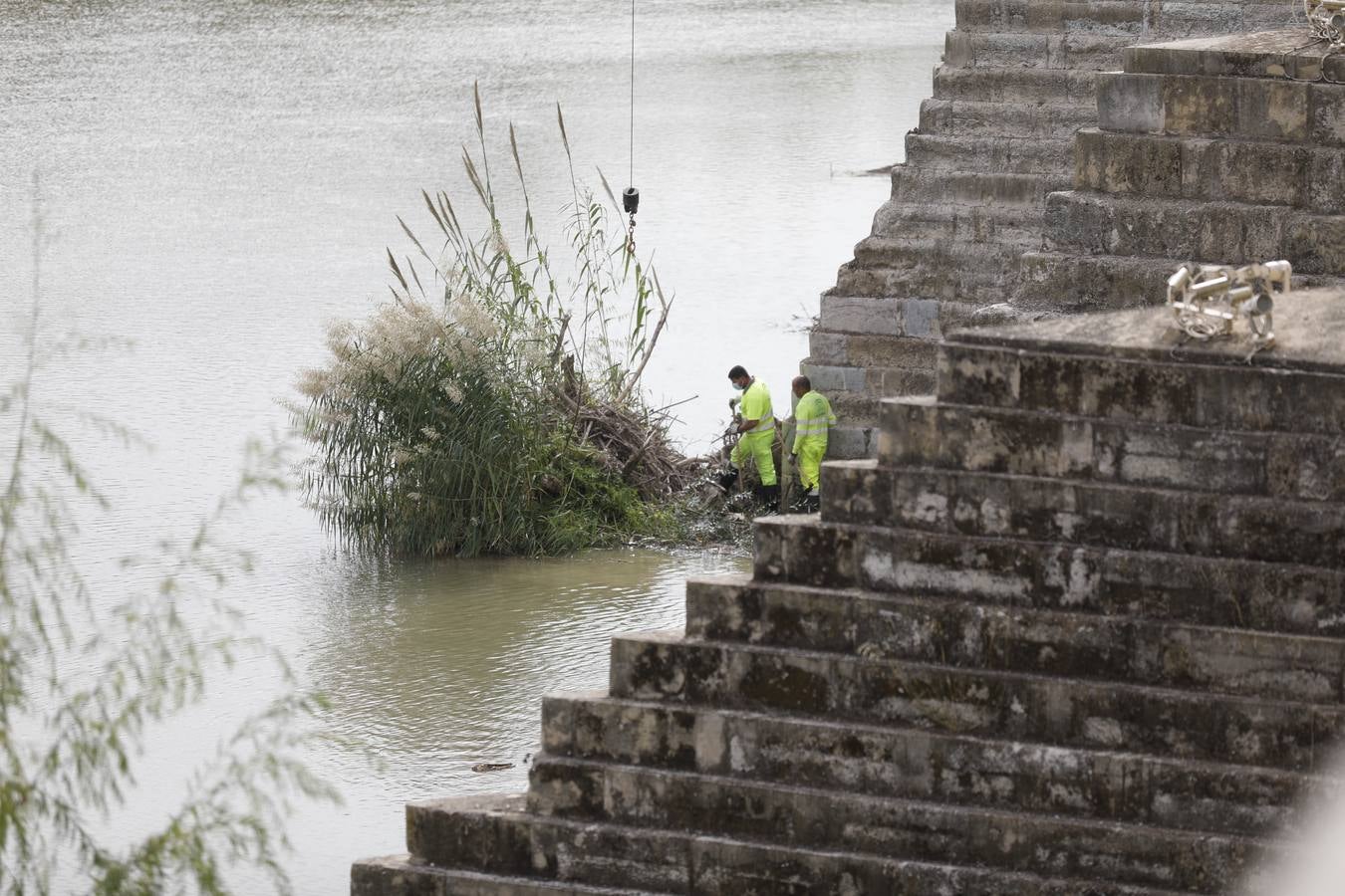 Operarios limpian de maleza y troncos el río Guadalquivir en Córdoba, en imágenes