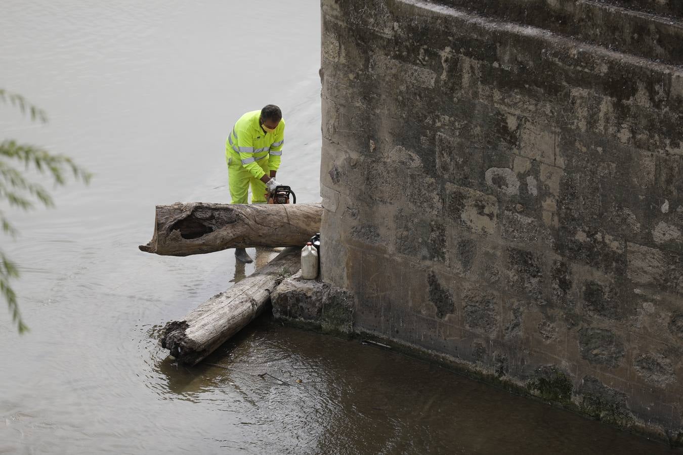 Operarios limpian de maleza y troncos el río Guadalquivir en Córdoba, en imágenes