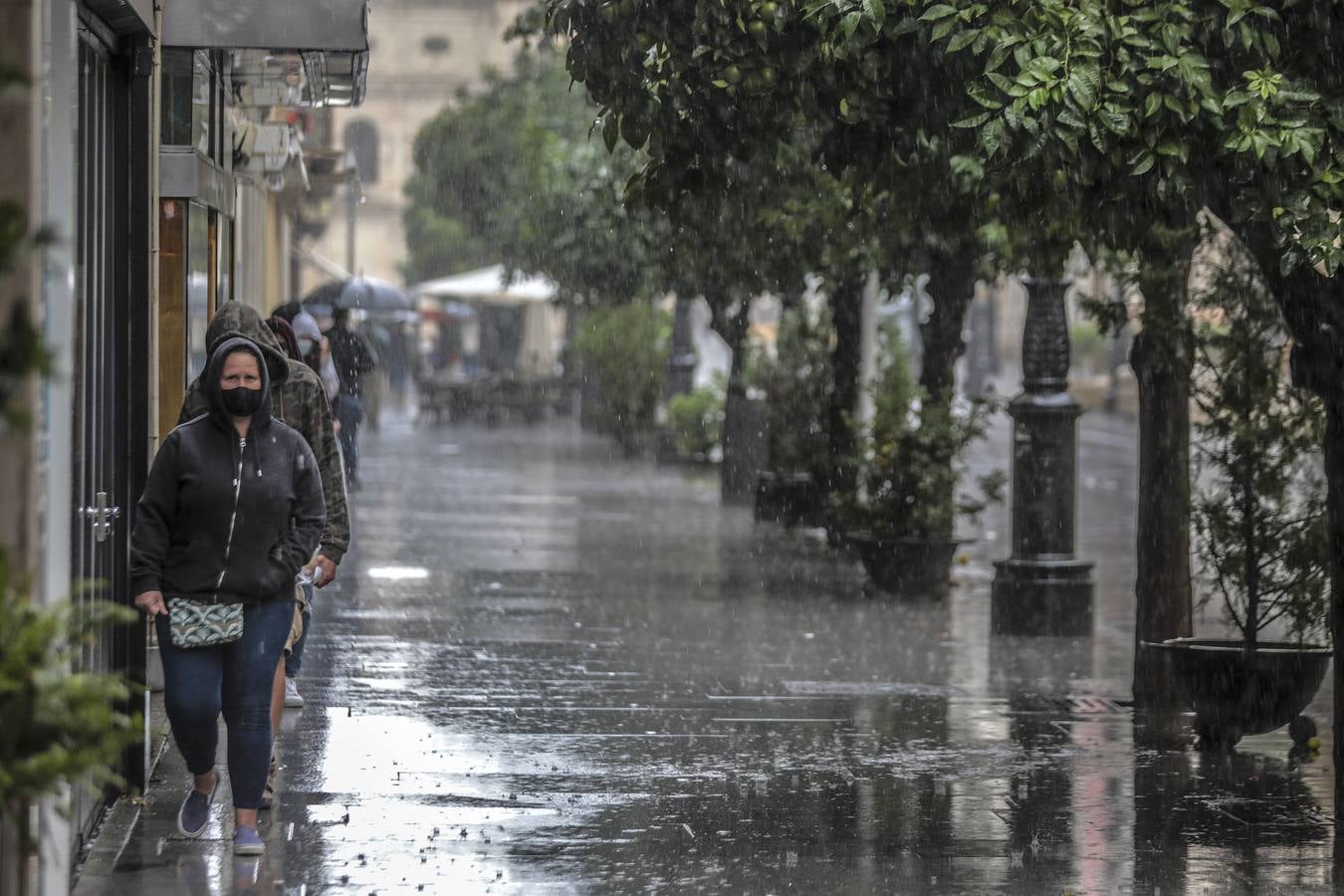 En imágenes, jueves lluvioso en Sevilla