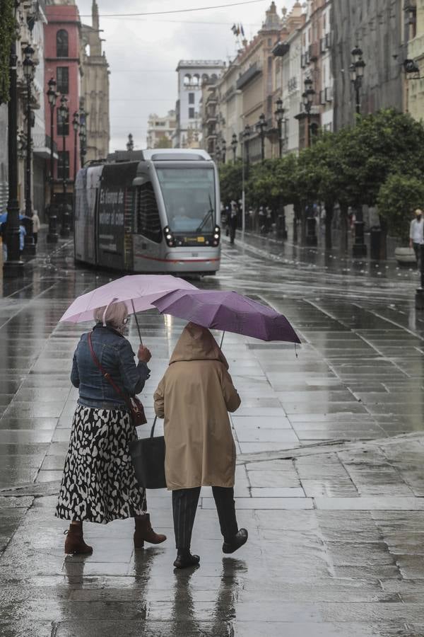 En imágenes, jueves lluvioso en Sevilla